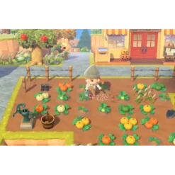 ANIMAL CROSSING NEW HORIZONS NSW IG2