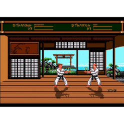 BUDOKAN THE MARTIAL SPIRIT MD IG3