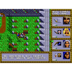 DUNGEONS DRAGONS WARRIORS OF THE ETERNAL SUN MD IG3