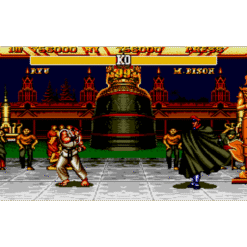 STREET FIGHTER II SPECIAL CHAMPION EDITION MD IG3