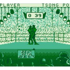 BEST OF THE BEST CHAMPIONSHIP KARATE GB IG1