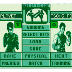 BEST OF THE BEST CHAMPIONSHIP KARATE GB IG2