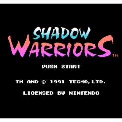 SHADOW WARRIORS NES IG1