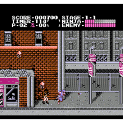 SHADOW WARRIORS NES IG2