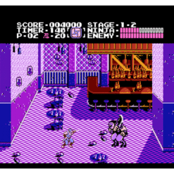 SHADOW WARRIORS NES IG3