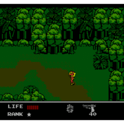 SNAKES REVENGE NES IG2