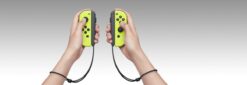 JOY CONS L E R NINTENDO NSW 2