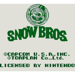 SNOW BROTHERS GB IG1