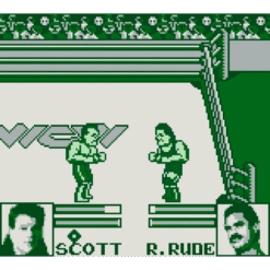 WCW THE MAIN EVENT GB IG2