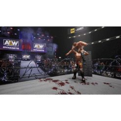 AEW FIGHT FOREVER NSW IG3