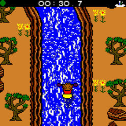 EXTREME SPORTS WITH THE BERENSTAIN BEARS GBC IG1