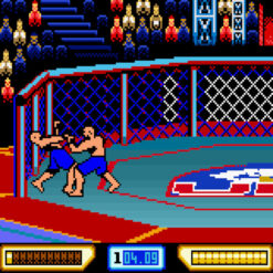 ULTIMATE FIGHTING CHAMPIONSHIP GBC IG1