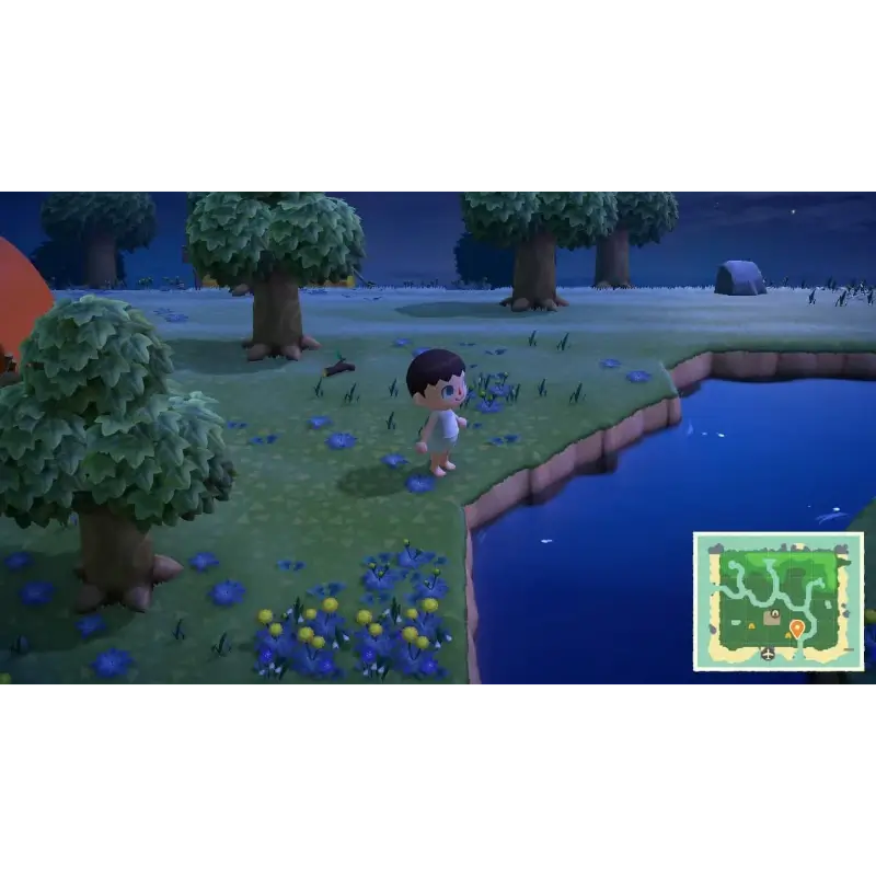 ANIMAL CROSSING NEW HORIZONS NSW (SEMI-NOVO) - Image 2