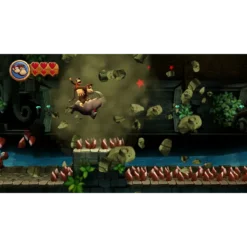 DONKEY KONG COUNTRY RETURNS NSW IG2